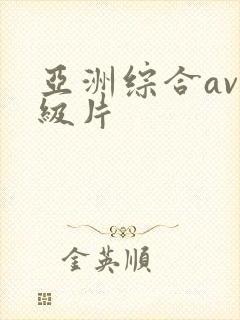 亚洲综合av一级片