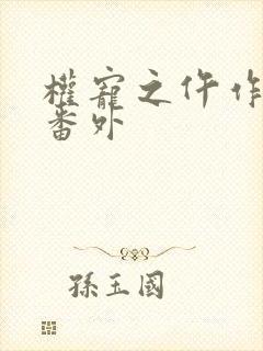 权宠之仵作医妃番外