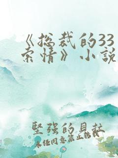 《总裁的33日索情》小说