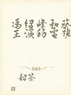 冯绍峰和蔡文静主演的电视剧