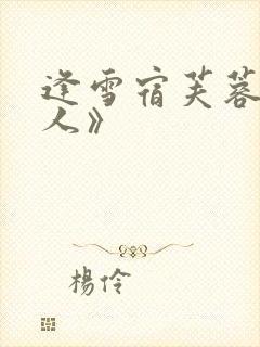 逢雪宿芙蓉山主人》