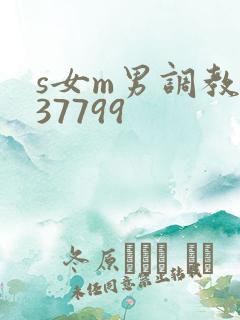 s女m男调教337799