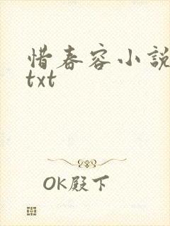 惜春容小说网盘txt