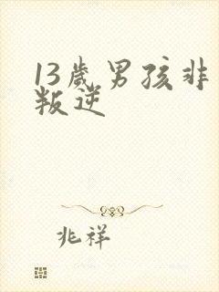 13岁男孩非常叛逆