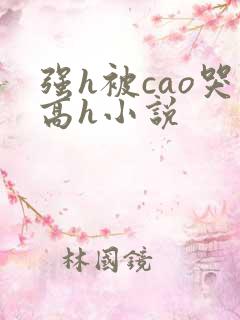 强h被cao哭高h小说