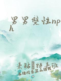 男男双性np高h
