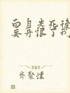 白月光死后,江妄舟恨了我十年