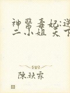 神医毒妃:逆天二小姐 天下长歌