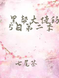 黑帮大佬的365日第二季
