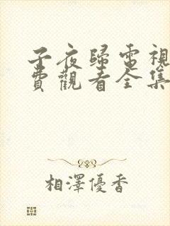 子夜归电视剧免费观看全集高清38