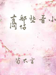 有哪些看小说的网站