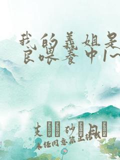 我的义姐是不是良喂养中1~2动漫