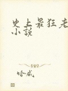 史上最狂老祖 小说