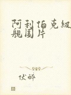 阿利伯克级驱逐舰图片