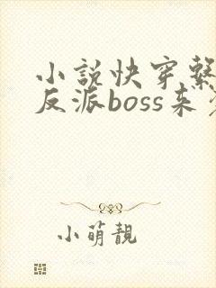 小说快穿系统之反派boss来袭免费阅读