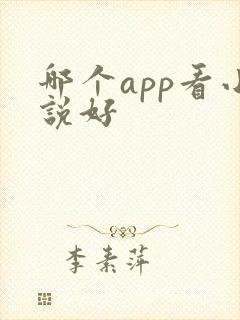 哪个app看小说好