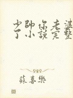 少帅你老婆又跑了小说完整版