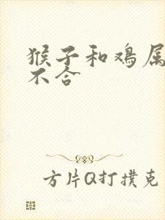 猴子和鸡属相合不合
