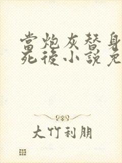 当炮灰替身的我死后小说免费阅读