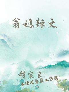 翁媳辣文