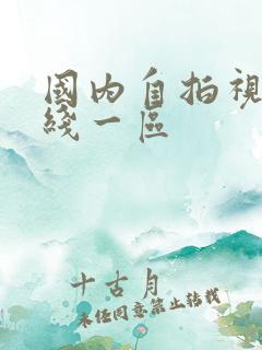 国内自拍视频在线一区