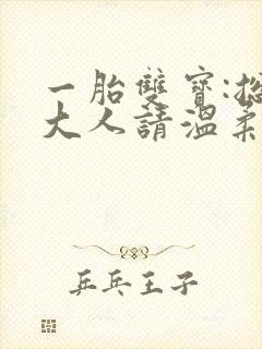 一胎双宝:总裁大人请温柔