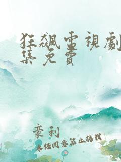 狂飙电视剧40集免费