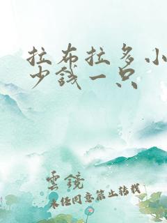 拉布拉多小狗多少钱一只