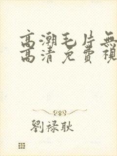 高潮毛片无遮挡高清免费视频网站