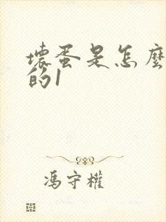 坏蛋是怎么炼成的1