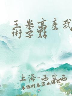 玉米高产栽培技术要点