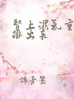 肾上湿气重如何排出来
