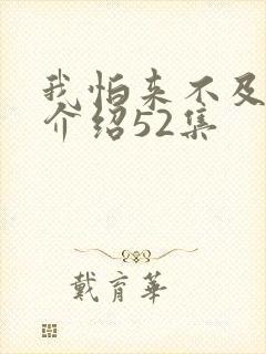我怕来不及剧情介绍52集