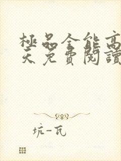 极品全能高手夏天免费阅读