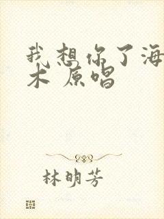 我想你了海来阿木 原唱
