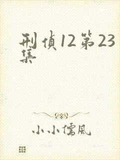刑侦12第23集