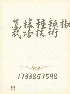 怎样种辣椒高产栽培技术