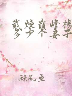 武炼巅峰杨开有多少个妻子