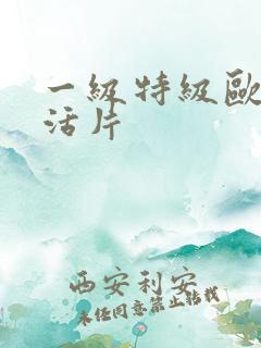 一级特级欧美生活片