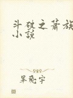 斗破之萧族冰圣小说