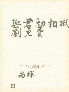 与君初相识电视剧免费