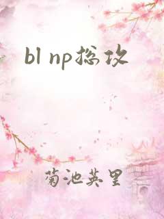 bl np总攻
