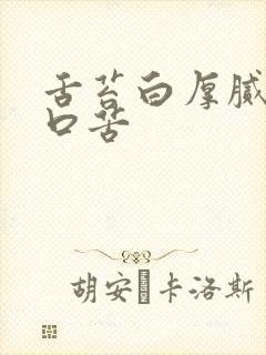 舌苔白厚腻口干口苦