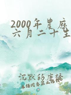 2000年农历六月二十生辰八字