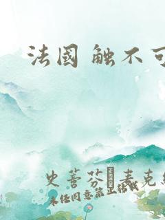 法国 触不可及