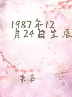 1987年12月24日生辰八字