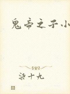 鬼帝之子小说