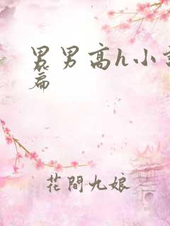 男男高h小说短篇