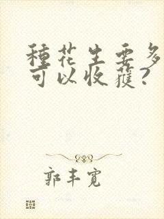 种花生要多少天可以收获?