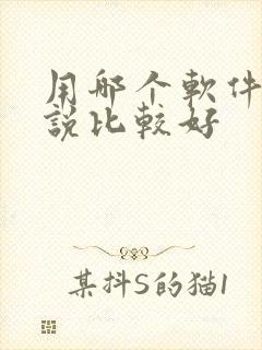用哪个软件写小说比较好